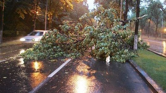 Cod Galben de furtună. Vezi zonele vizate