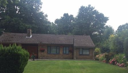 S-au culcat seara în casa lor. Când s-au trezit și au privit pe geam, stupoare