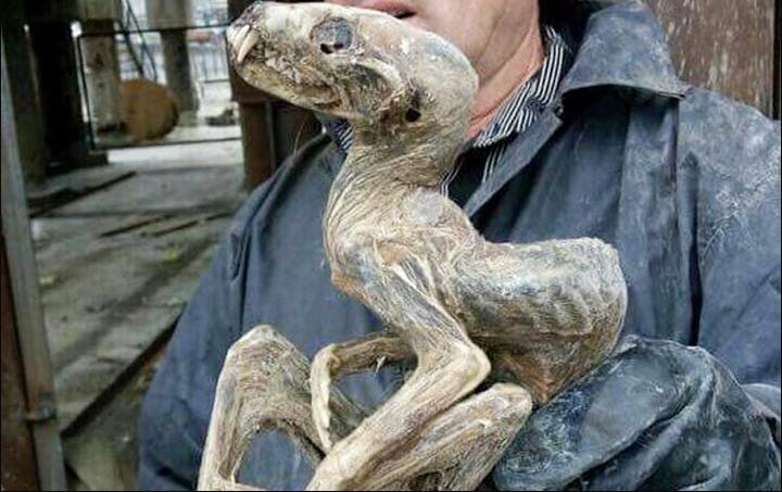 Căutau diamante în momentul în are au dat peste monstrul mumificat. Nimeni nu știe ce este de fapt