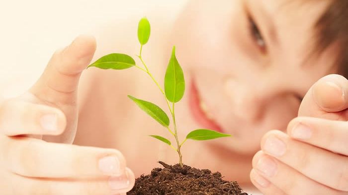 FRESH REFRESH. Copiii și plantele