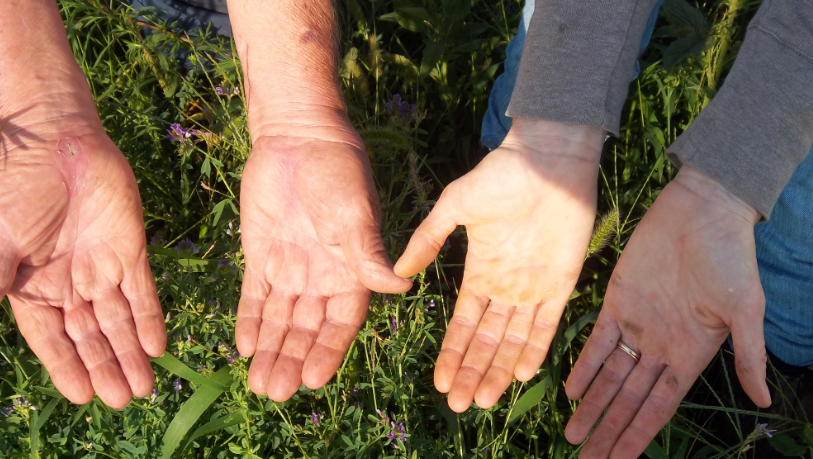 Cel mai murdar obiect: intri zilnic în contact cu el. Nu este capacul toaletei sau telecomanda!