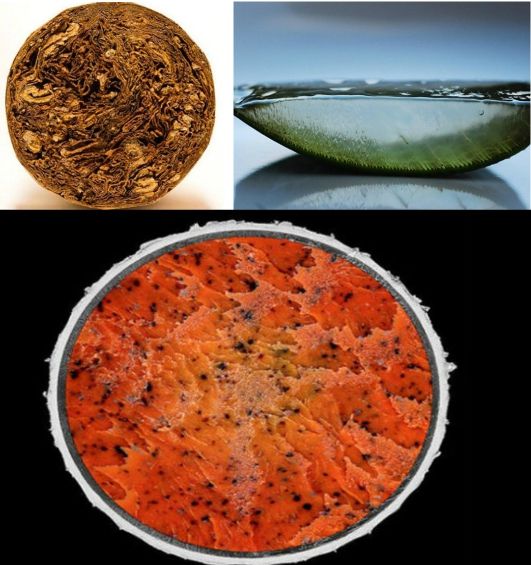 Ghicești ce sunt cele trei obiecte din imagine? Nimeni n-a putut da răspunsul corect