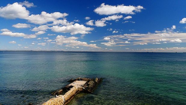 ALERTĂ ECOLOGICĂ. Anunț al autorităților: Nu faceți baie în apa Mării Negre