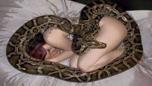 Dormea cu un piton încolăcit în jurul ei. Reptila nu mai mânca. A aflat motivul. Ce a urmat e HORROR