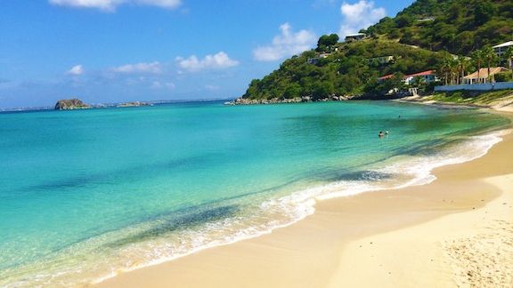 Înotau în mare, când ceva terifiant a apărut brusc. Au fotografiat totul