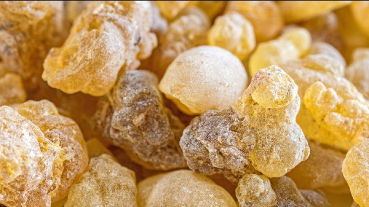 E considerată ”minunea naturii”. Tratează-ți bolile cu această plantă vindecătoare