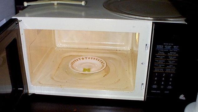 Experiment uimitor! Vezi ce se întâmplă dacă pui un bob de strugure în cuptorul cu microunde - VIDEO