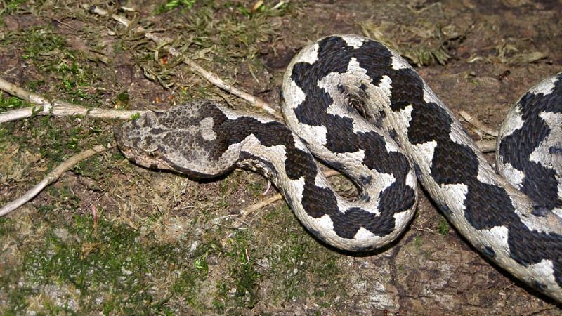 Vești îngrijorătoare. Ce se întâmplă într-un oraș din România. Avertisment grav