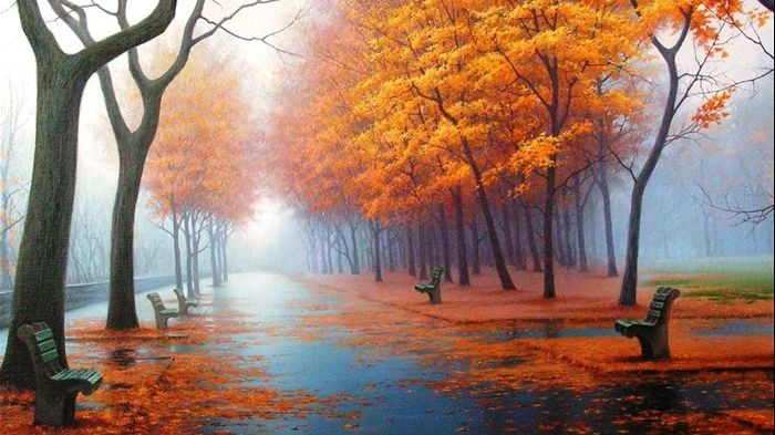 Cum va fi vremea în fiecare zi, până la sfârșitul săptămânii