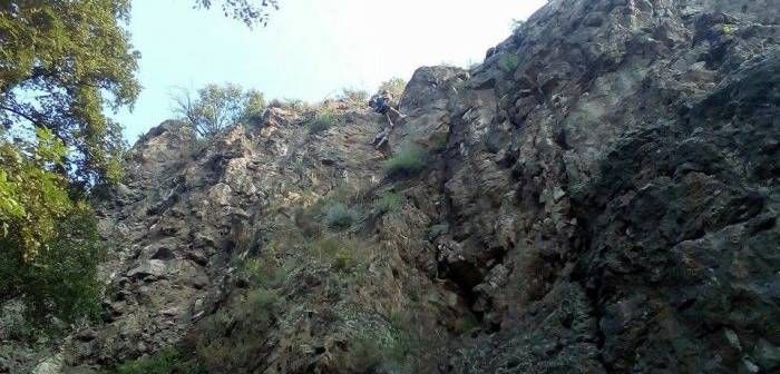 A strigat după ajutor. Când l-au găsit pompierii din Deva, au fost şocaţi - GALERIE FOTO