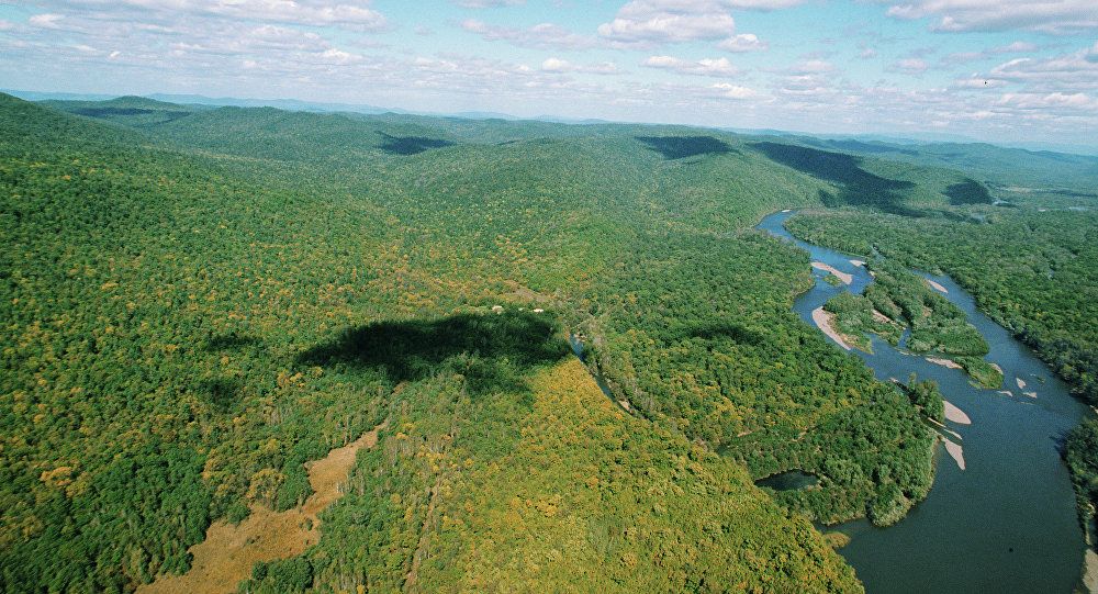 Mowgli din Siberia! Supravieţuire uimitoare a unui copil de 3 ani în pădurile pline de urşi şi lupi