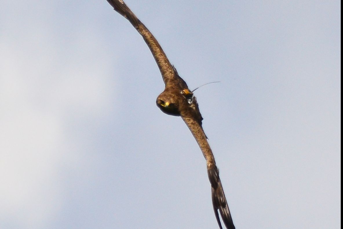 Gata, e toamnă – o confirmă și Arlie, iar ea nu se înșală niciodată