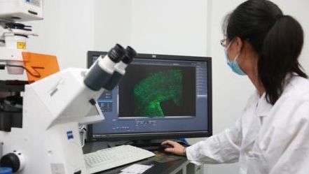 Descoperirea făcută de oamenii de ştiinţă. Este cu totul neaşteptată 