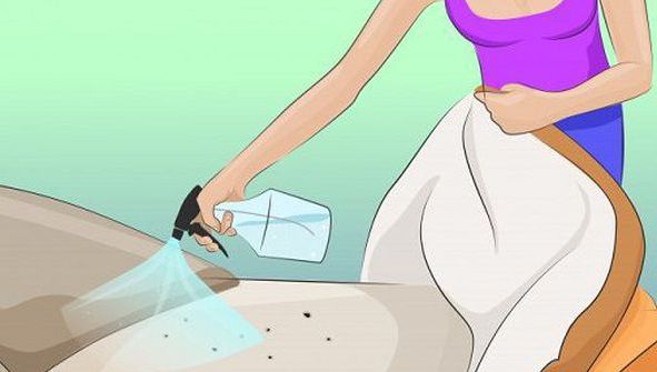 A pulverizat alcool sanitar pe pat. Efectul fantastic s-a văzut deja a doua zi dimineață