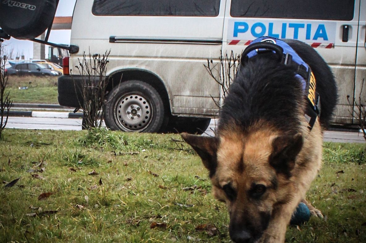 Bărbat dat dispărut după ce a plecat să se plimbe singur, căutat de zeci de poliţişti 