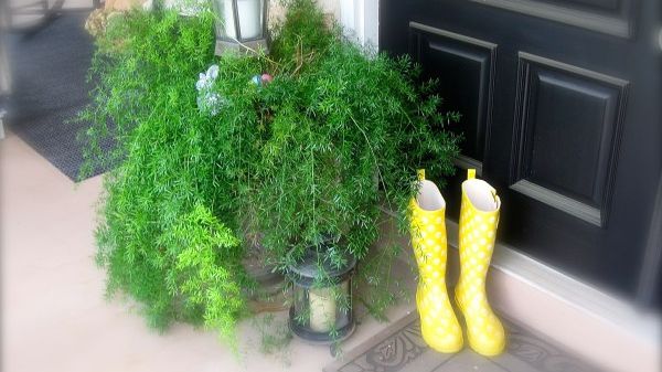 Şi-a lăsat cizmele afară, în faţa uşii. Dimineaţa, când a vrut să se încalţe, a avut un ŞOC!