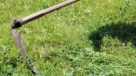 Crimă înfiorătoare în Vaslui. Un tânăr a tăiat cu o coasă doi vecini, soț și soție