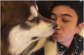 Ce a făcut fiul celui mai bogat om din China pentru câinele lui când a apărut noul iPhone 7