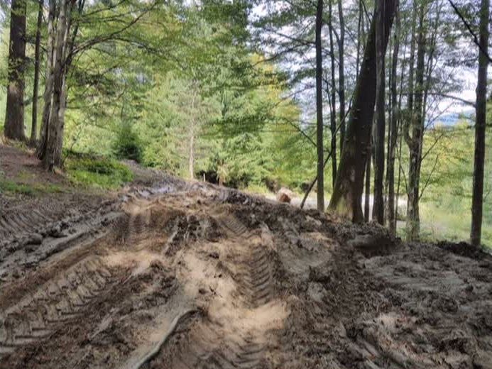 Defrișări la Sinaia în Parcul Natural Bucegi