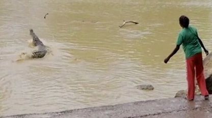 O femeie a aruncat o piatră într-un crocodil de 4 metri! Reacţia animalului a ajuns virală 