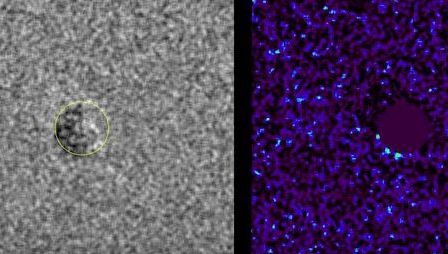 Descoperire uluitoare făcută de NASA! Prima dovadă clară că pe Jupiter ar putea exista viaţă 