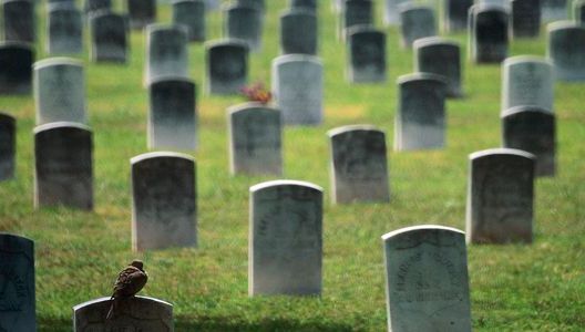 Au exhumat un bărbat împuşcat de Securitate, în judeţul Alba. Ce au găsit în mormânt