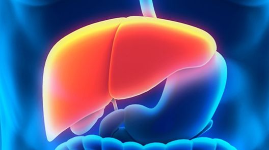 Ai ficatul gras? Iată ce înseamnă, de fapt, acest lucru! Medicii trag un semnal de alarmă