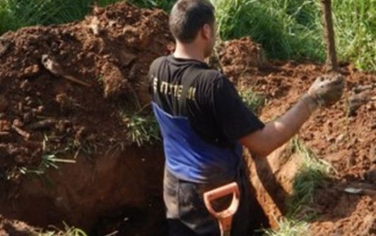 ÎNGROZITOR. 15.000 de schelete, inclusiv ale unor prizonieri români, găsite într-o groapă din Rusia