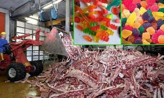 Adevărul oribil despre jeleuri. După acest video ȘOCANT n-o să mai mănânci niciodată!