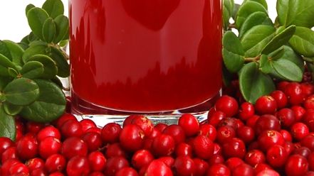 Merișoarele, leacul-miracol pentru ulcer și boli de rinichi. Care este tratamentul