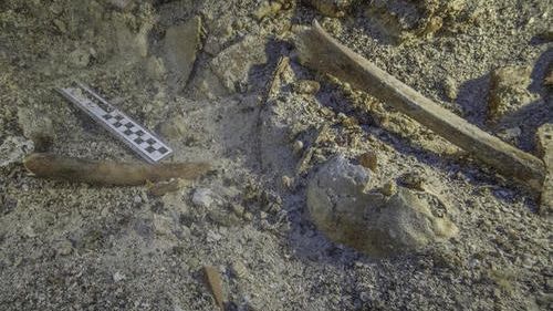 Au descoperit un schelet pe o epavă veche de 2.000 de ani. Ce detalii incredibile au aflat