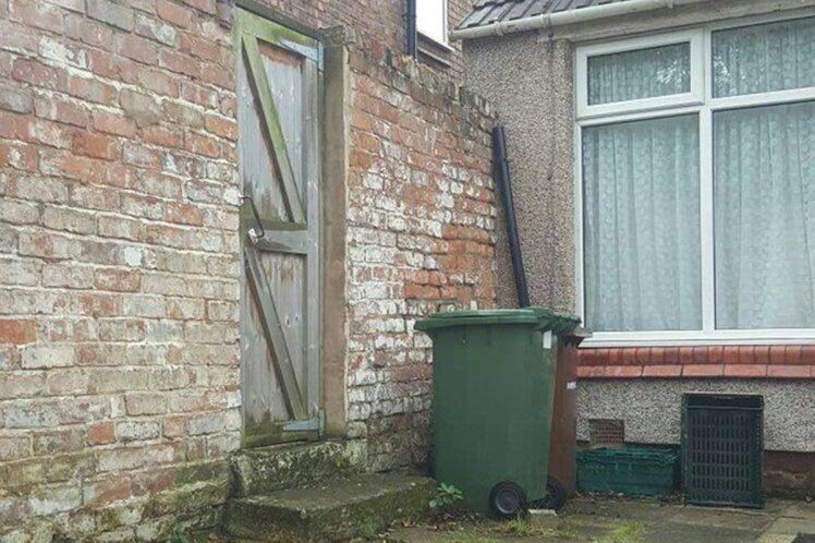 Această imagine îţi va da de lucru. Poţi să găseşti animalul?