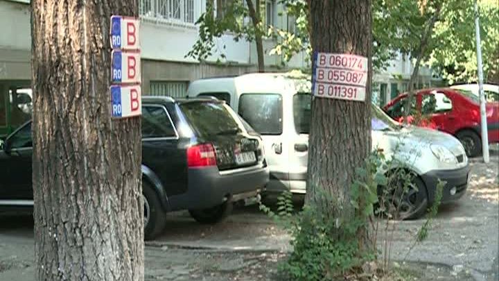 Plăcuţe de înmatriculare bătute în copaci, în sectorul 6 din Capitală. Motivul incredibil