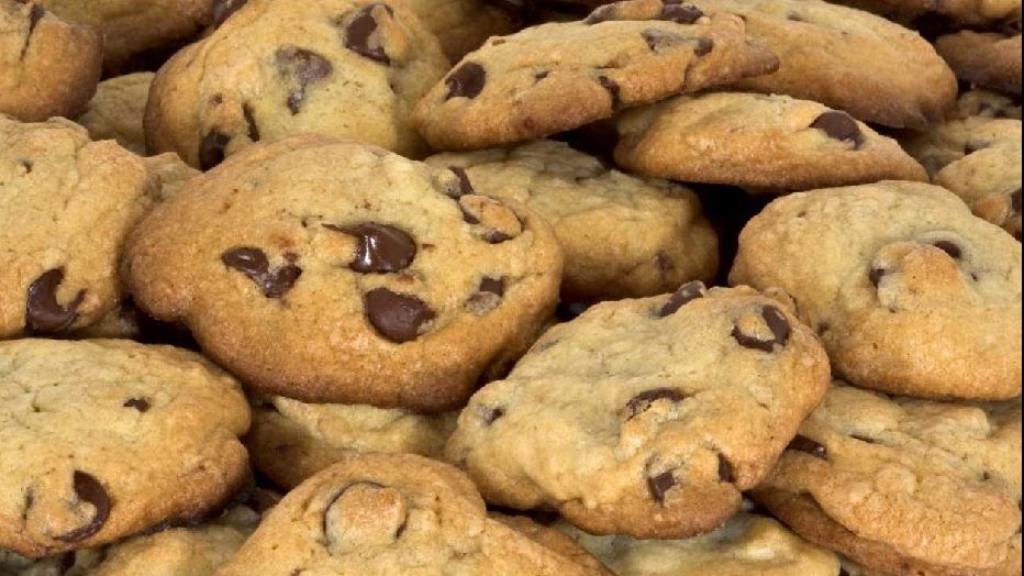 Un câine a mâncat, din greșeală, un fursec plin cu droguri al stăpânului. Cum arată acum