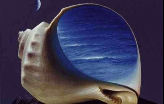 De ce se aude sunetul mării în scoicile marine