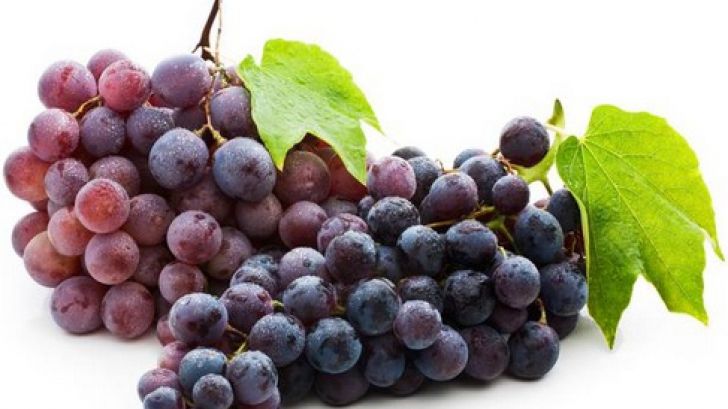 Fructele toamnei, strugurii. Cum să-i cumperi, cum să-i păstrezi