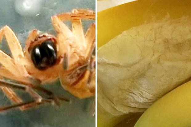 Şocant! Ce a descoperit o femeie într-o banană cumpărată de la un hipermarket