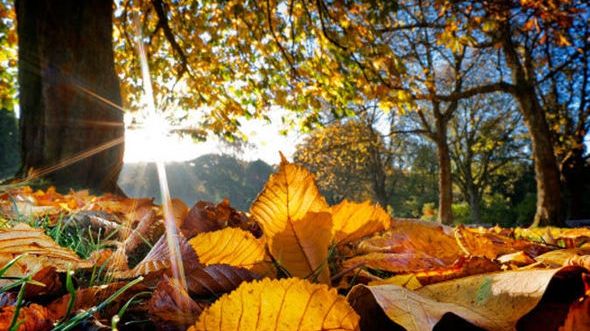 PROGNOZA METEO 13 septembrie. Vreme caldă pentru această perioadă!