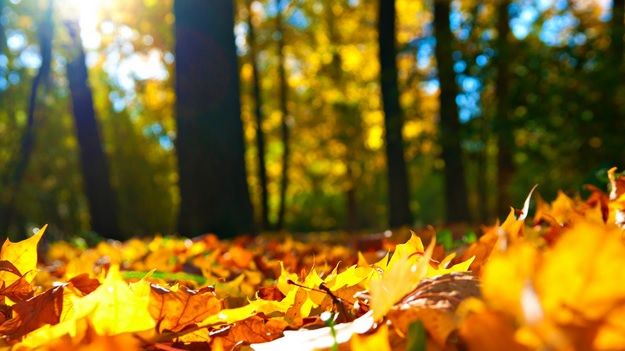 PROGNOZA METEO. Cum va fi vremea în weekend-ul 24-25 septembrie