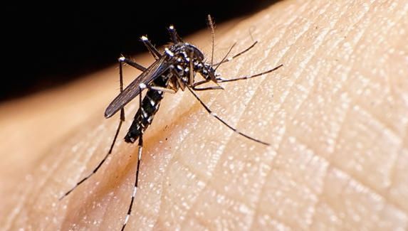 Un nou focar de Zika. De data asta virusul nu a depistat în Brazilia