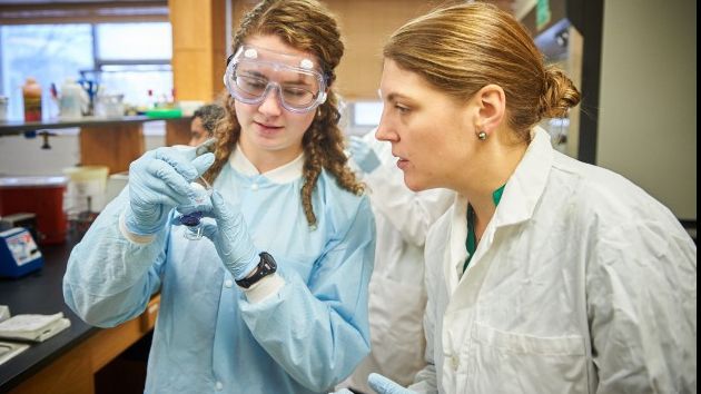 Animalul care are penisul de 3 ori mai lung decât corpul