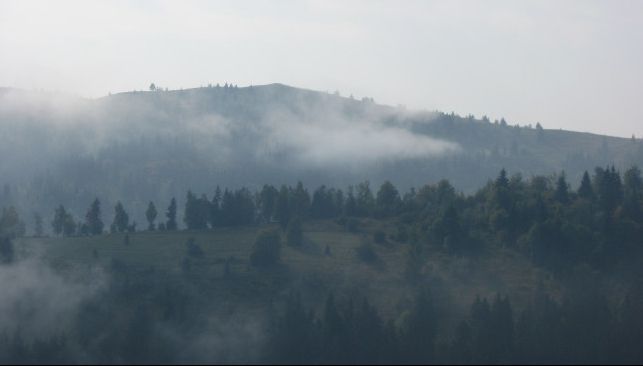 Tragedie în Munţii Apuseni. Doi turiști elvețieni au murit în drum spre peștera Scărișoara