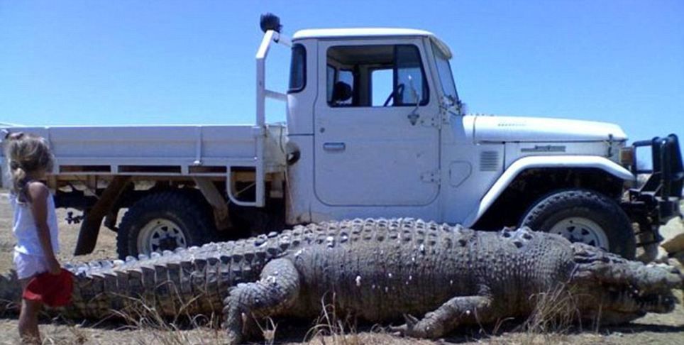 Ce s-a întâmplat la puțin timp după această fotografie. Toată lumea i-a căutat