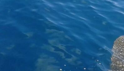 Ieșise în larg cu barca sa, când ceva bizar a ieșit din apă. ”Se auzea un zgomot din adâncuri”