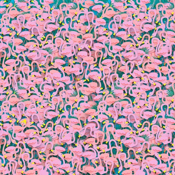 Această imagine a captivat internetul: Găseşte balerina! 