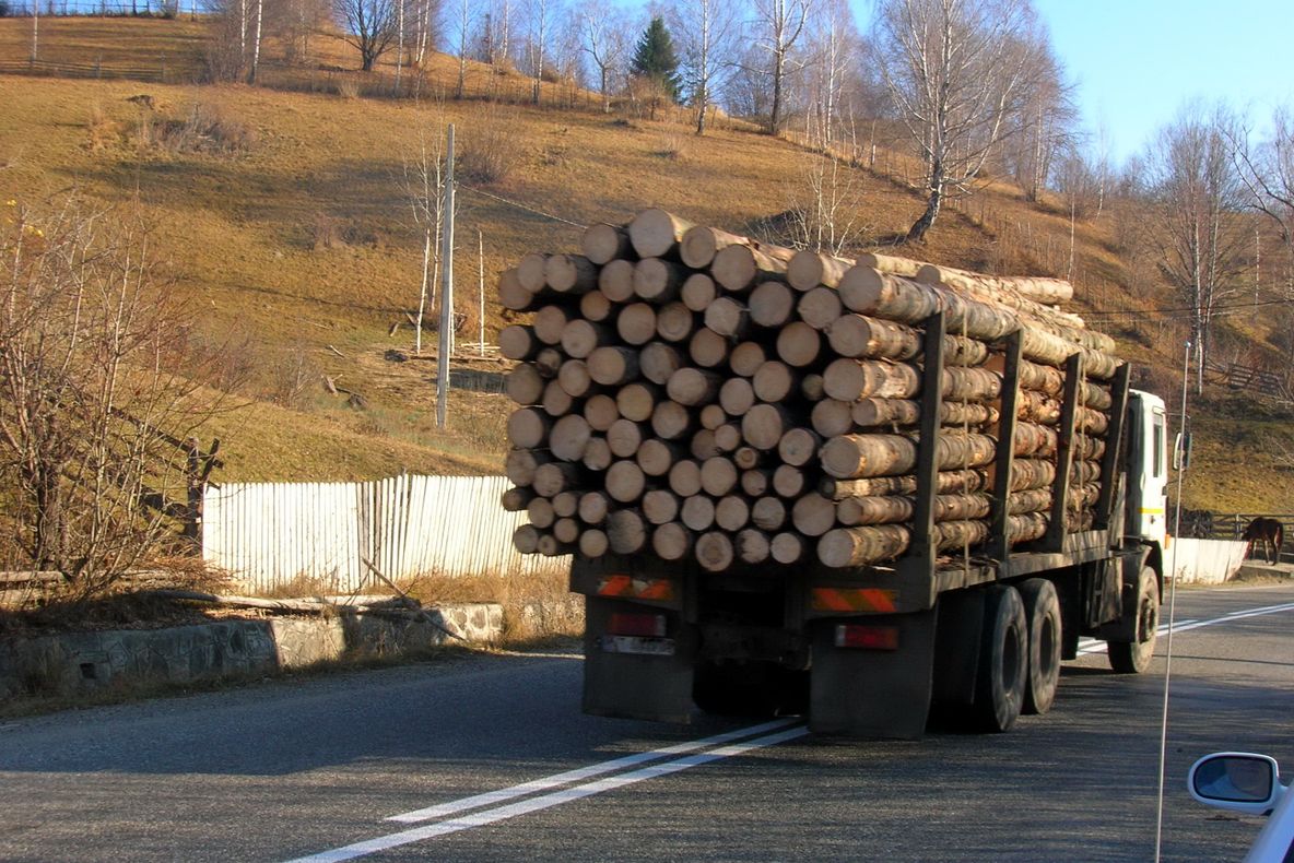 Manipulare ordinară marca Antena 3: de fapt, elvețienii ne fură lemnul