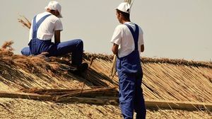 Închisoarea de minimă securitate din Delta Dunării, locul în care deţinuţii sunt aproape liberi