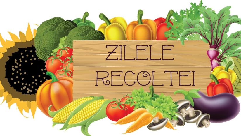 Gust de toamnă, cu must, pastramă și taraf, în Piața Ferentari (P)