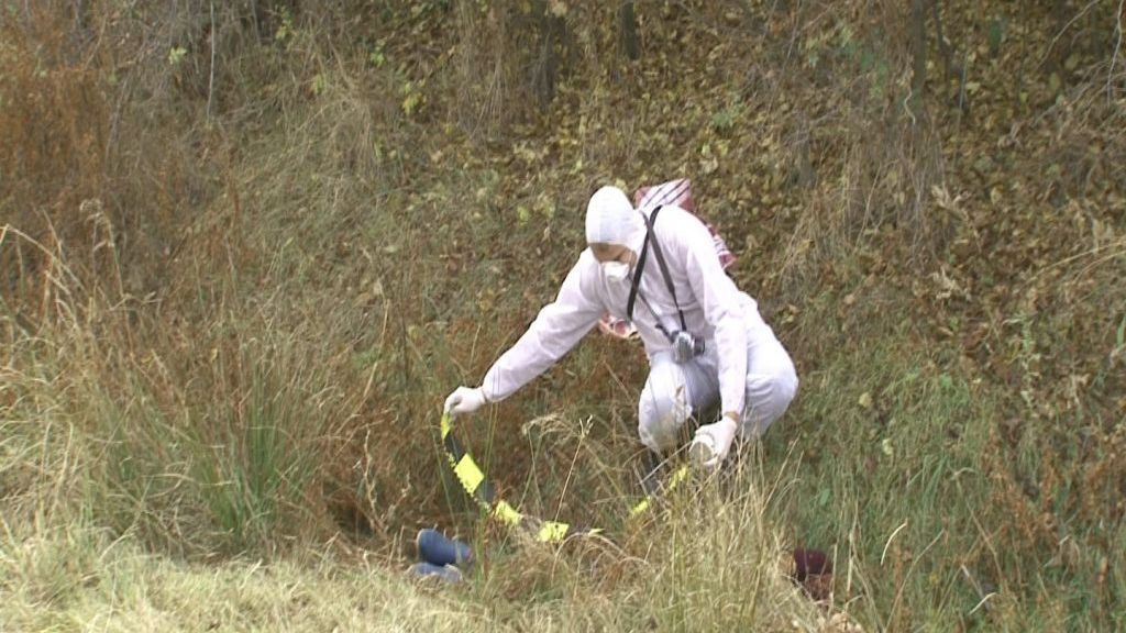 Moarte groaznică pentru un cioban din Satu Mare. Cum a fost găsit, alături de câinele său