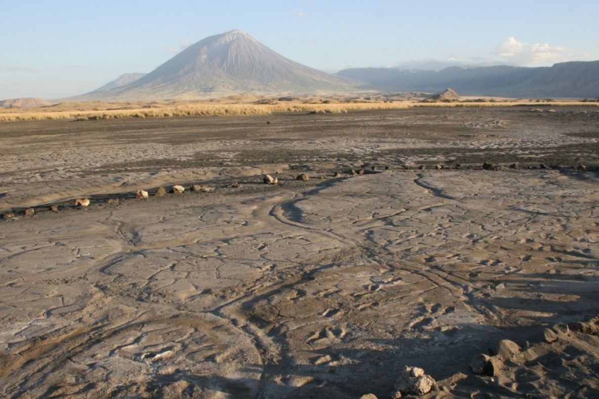 S-au păstrat zeci de mii de ani. Descoperirea care poate schimba ce știam despre începutul omenirii